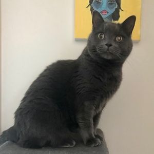 Meet your Posher, Jackie